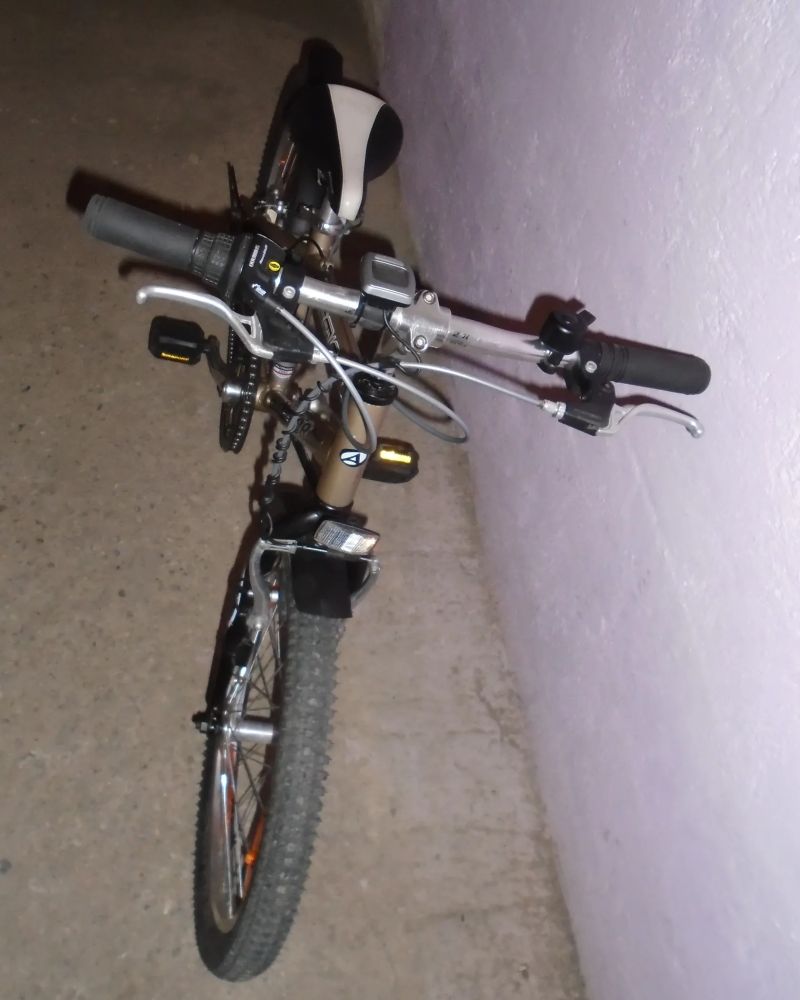 Dětské jízdní kolo: Author Cosmic 20“.