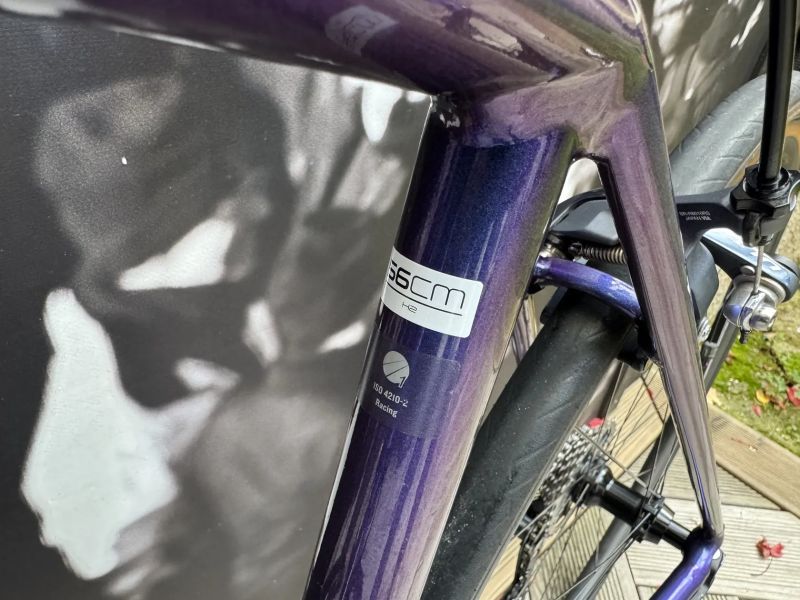 Trek Emonda ALR - custom