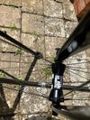 Cinelli Saetta Radical Plus