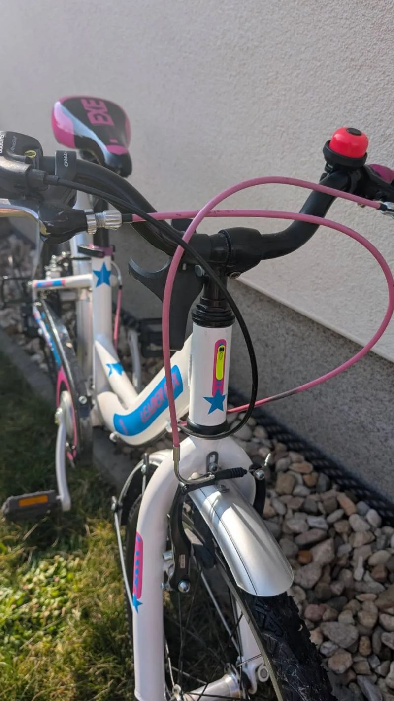 Leader Fox Lassie 20"