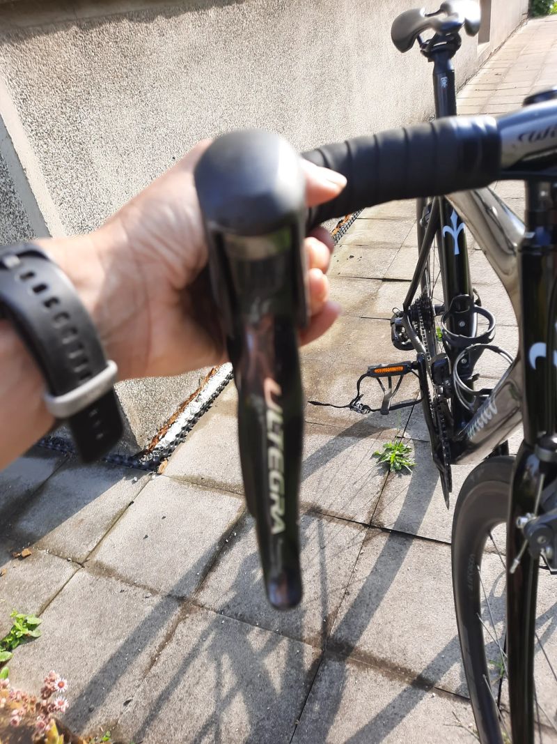 Wilier Wilier Triestina