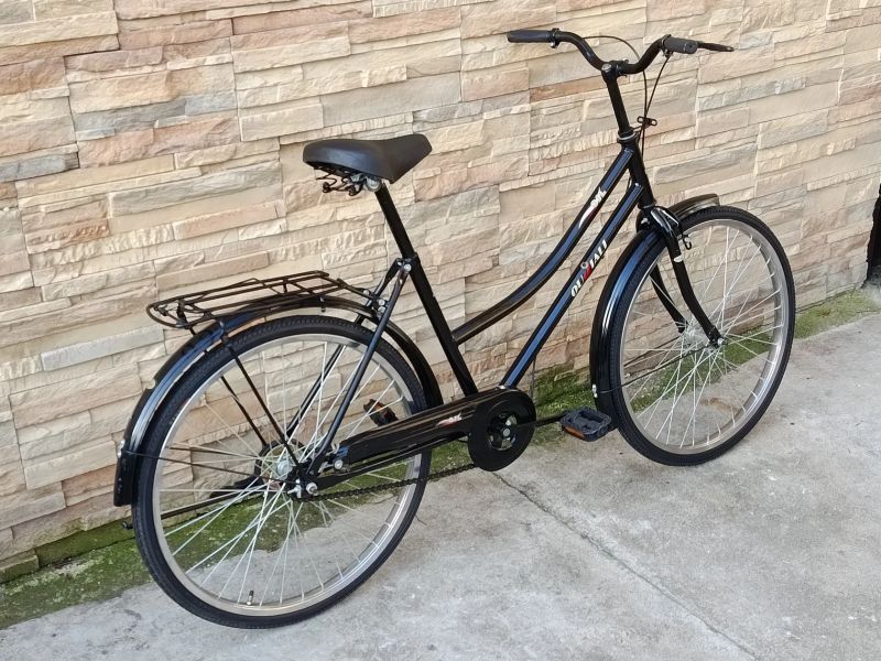 Stylové městské kolo holanského typu