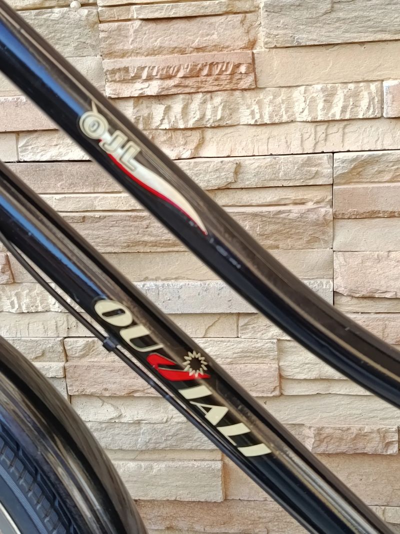 Stylové městské kolo holanského typu