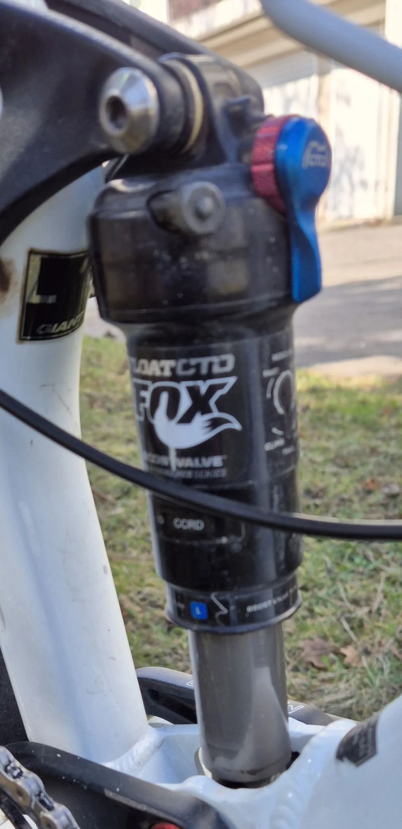 Giant Trance X 29" vel. L.