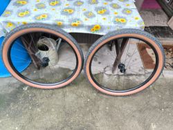 Bontrager Kovee Comp 25