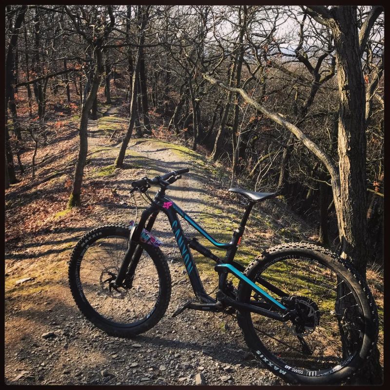 Canyon Spectral WMN AL 5.0