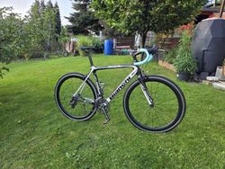 Binachi Sempre Pro velikost 55cm