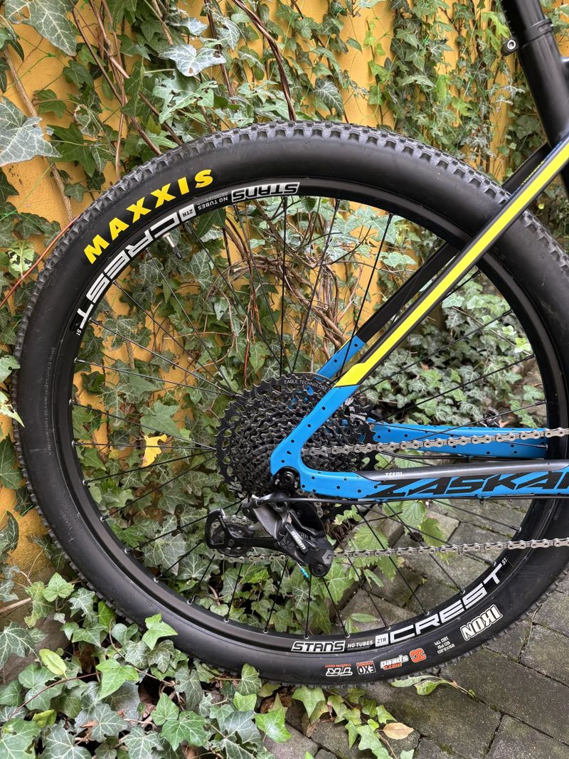 GT Zaskar Carbon Expert / Pro