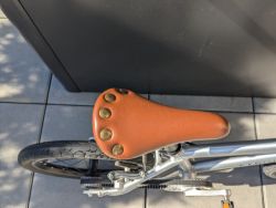 Early Rider Belter 16