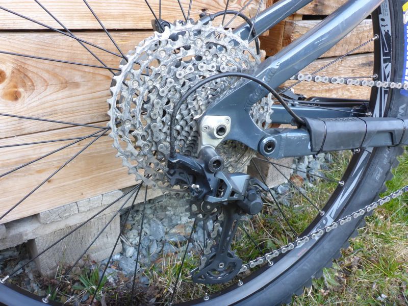 Qayron Carma MKII 29" M