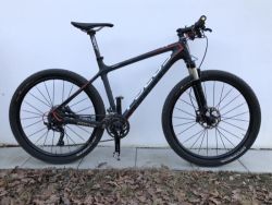 Focus RAVEN, carbon, 26”