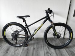 Rocky Mountain Vertex