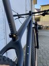 Carbon 29”