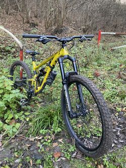 Kellys Kellys swag 50