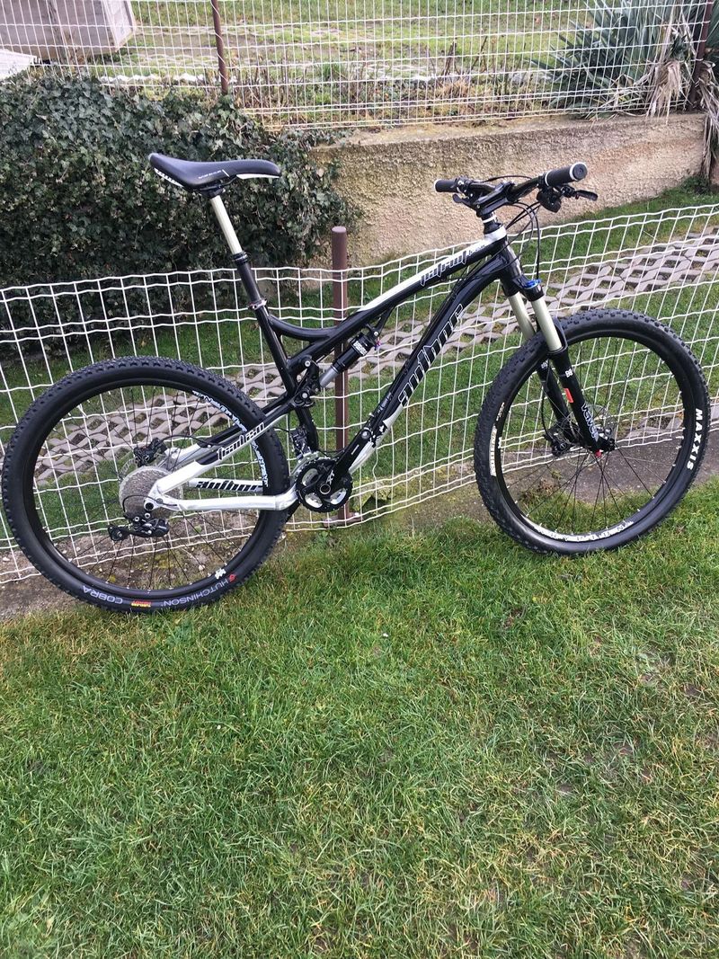 Author Patriot Trail 2.0