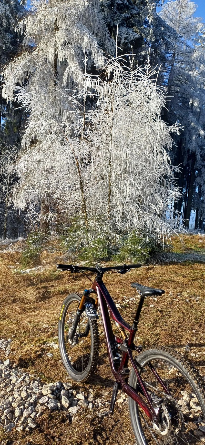 Orbea Occam SL m10 2025