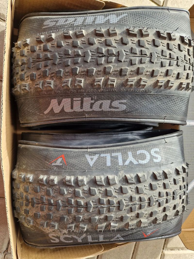 Mitas (Rubena) SCYLLA