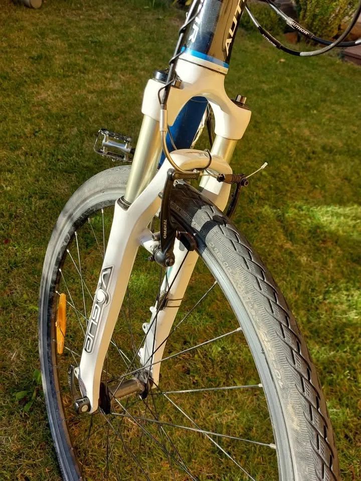 Author Avion 28" vel. L (karbon rám)