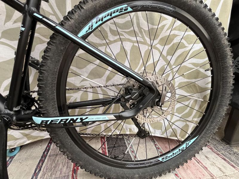 Beany Blaster 27,5 - juniorský trailový bajk