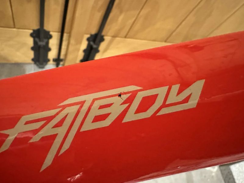 Specialized Fatboy Comp Carbon