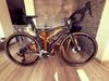 Specialized Diverge Carbon