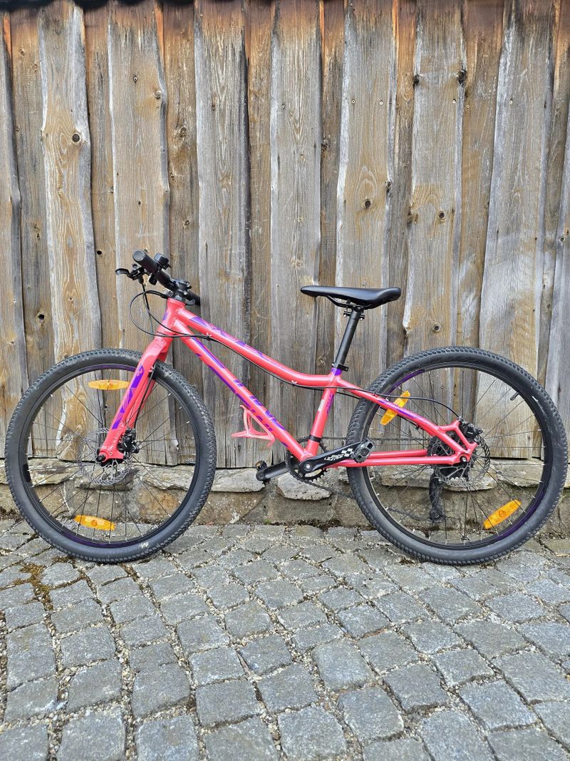 Amulet Youngster 24"