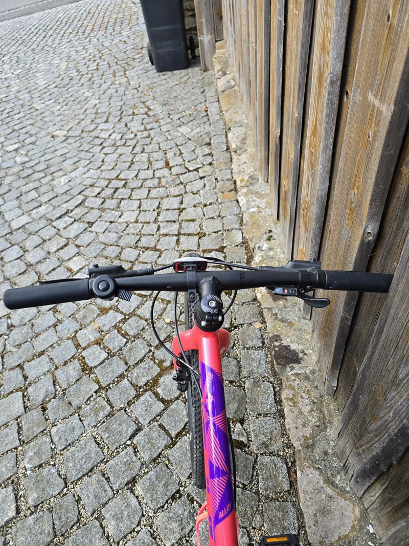 Amulet Youngster 24"