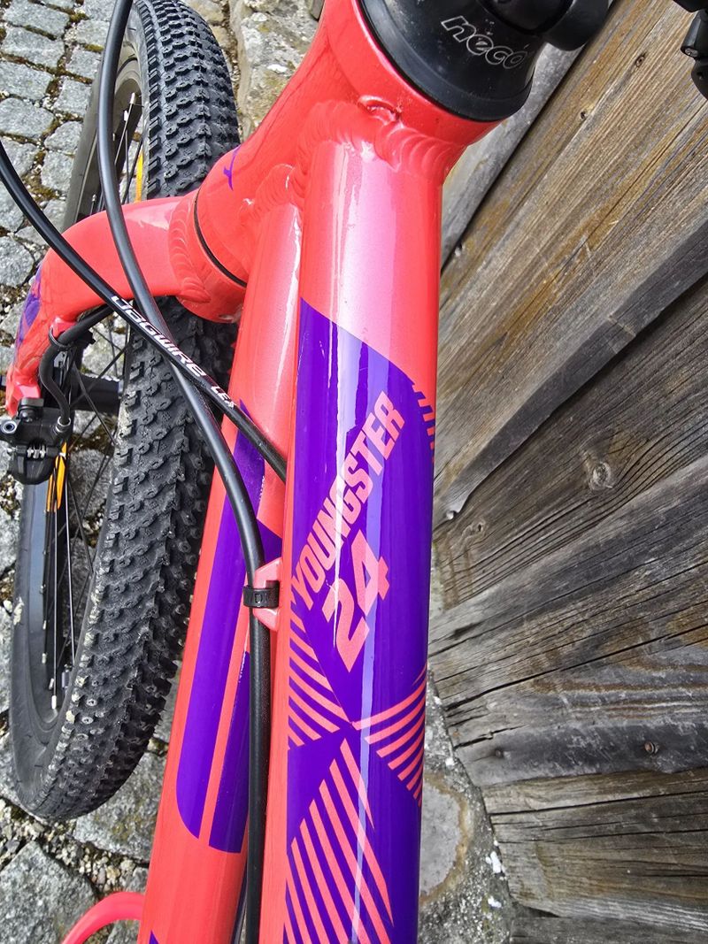 Amulet Youngster 24"