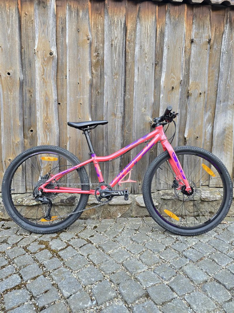 Amulet Youngster 24"