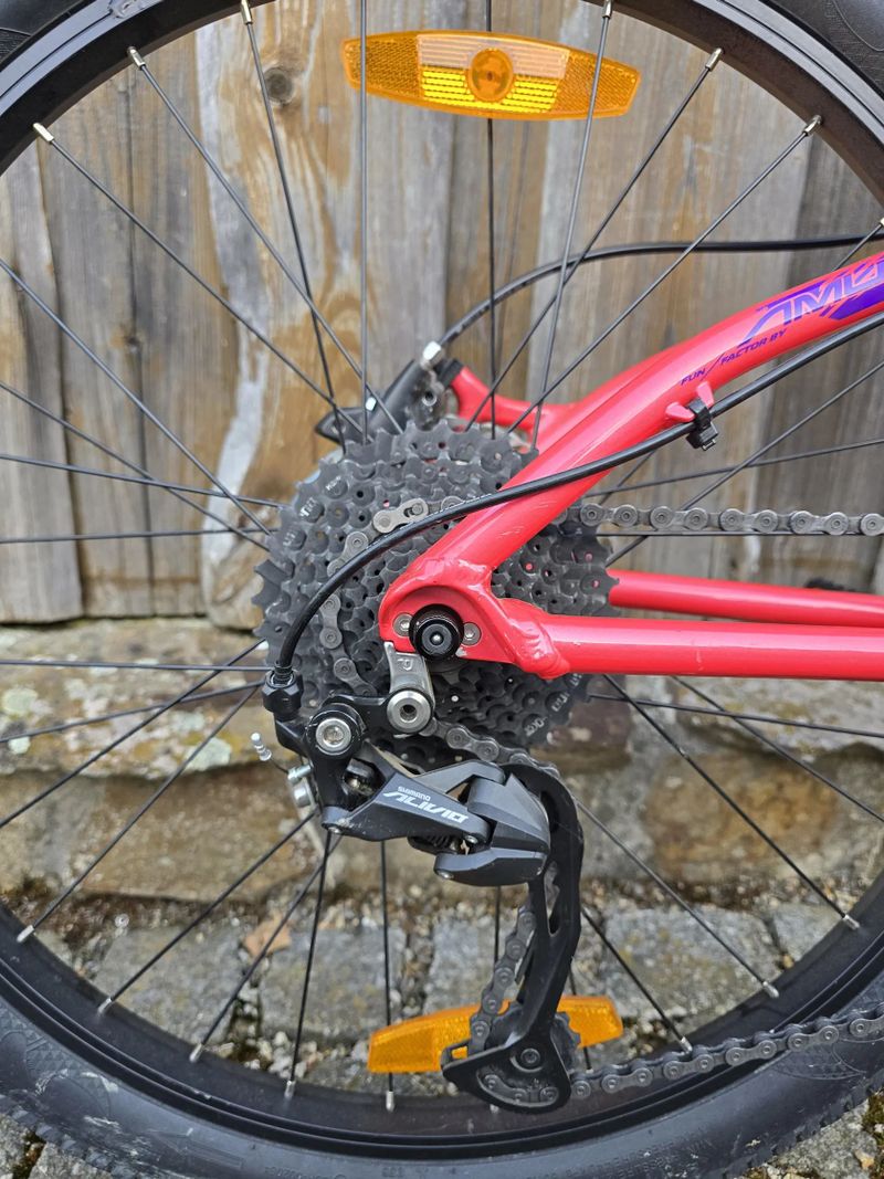 Amulet Youngster 24"