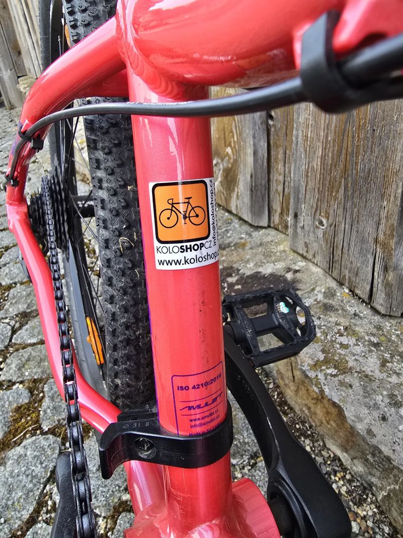 Amulet Youngster 24"