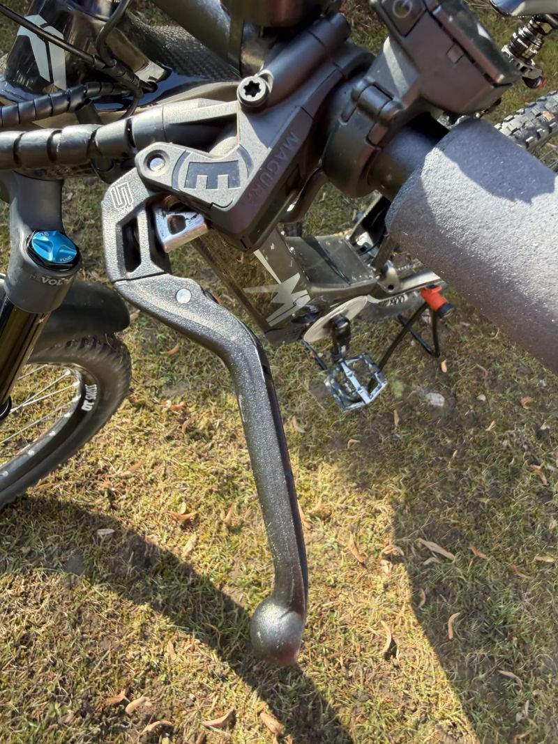 Spitzing Evolution R-Pedelec