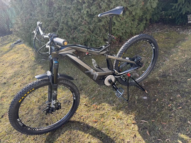 Spitzing Evolution R-Pedelec