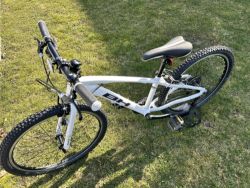 BH Expert Junior 24"