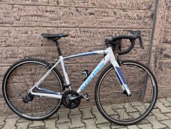 Kross Vento team edition