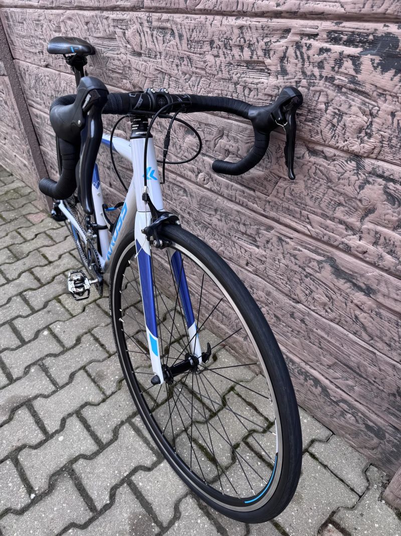 Kross Vento team edition