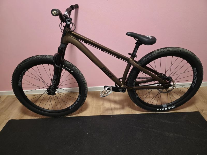 Rose The Bruce 2024 RS Pike, Reverse