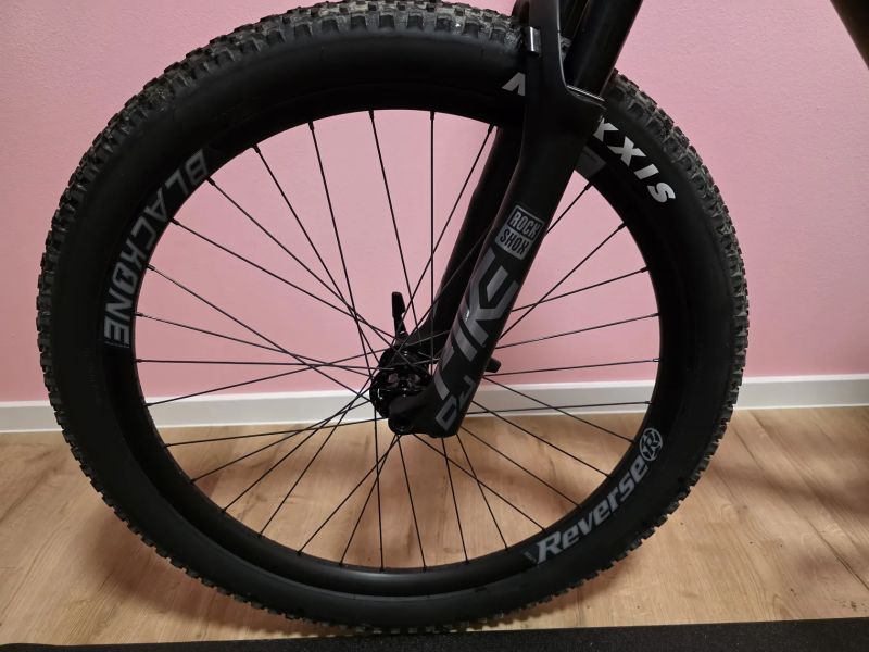 Rose The Bruce 2024 RS Pike, Reverse