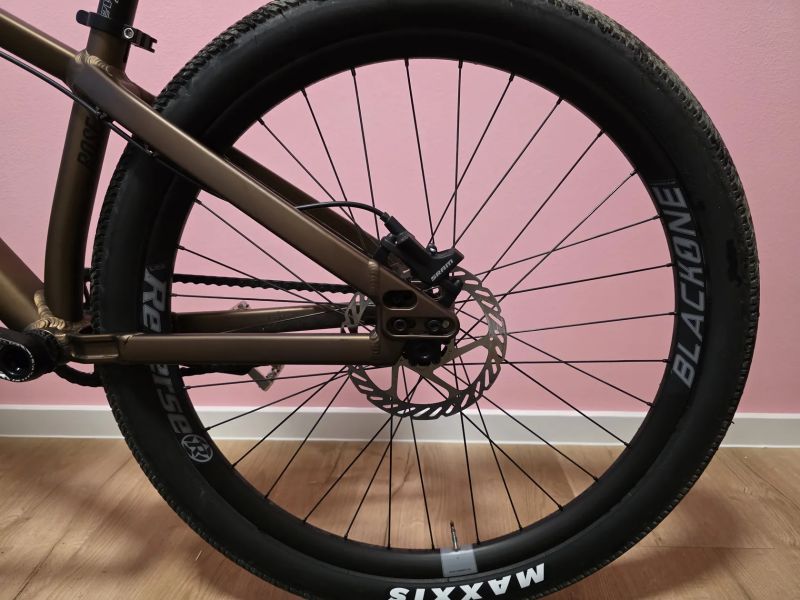 Rose The Bruce 2024 RS Pike, Reverse