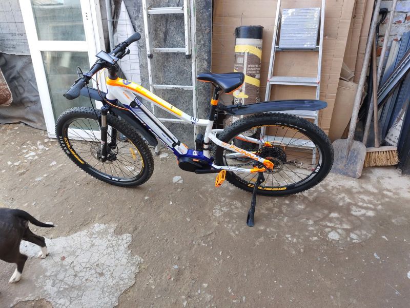 Crussis Fiona 8.5. S