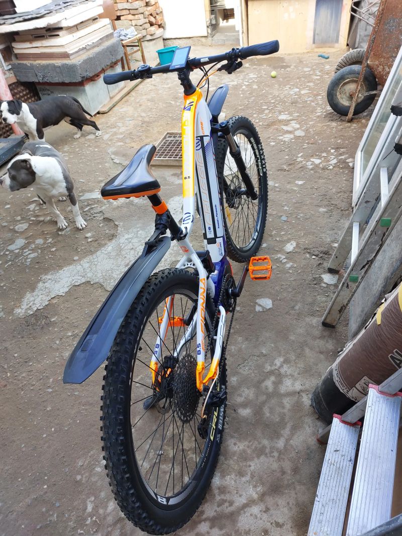 Crussis Fiona 8.5. S