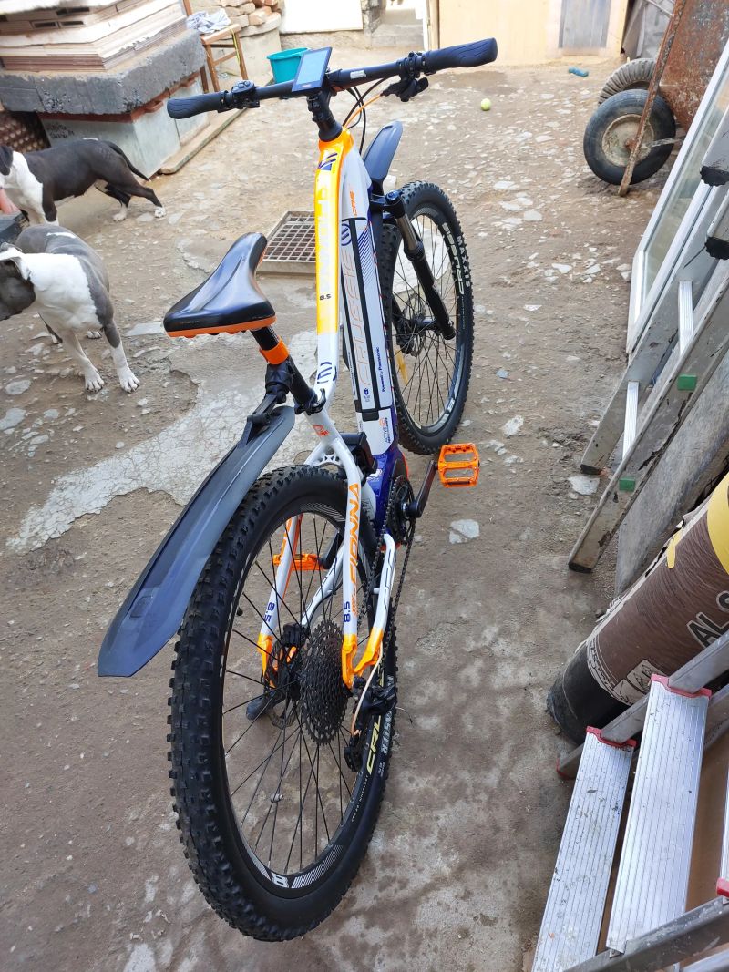 Crussis Fiona 8.5. S