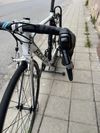 Focus Izalco