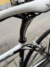 Focus Izalco