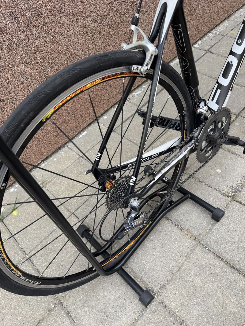 Focus Izalco