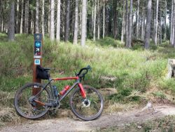 On-One Space Chicken