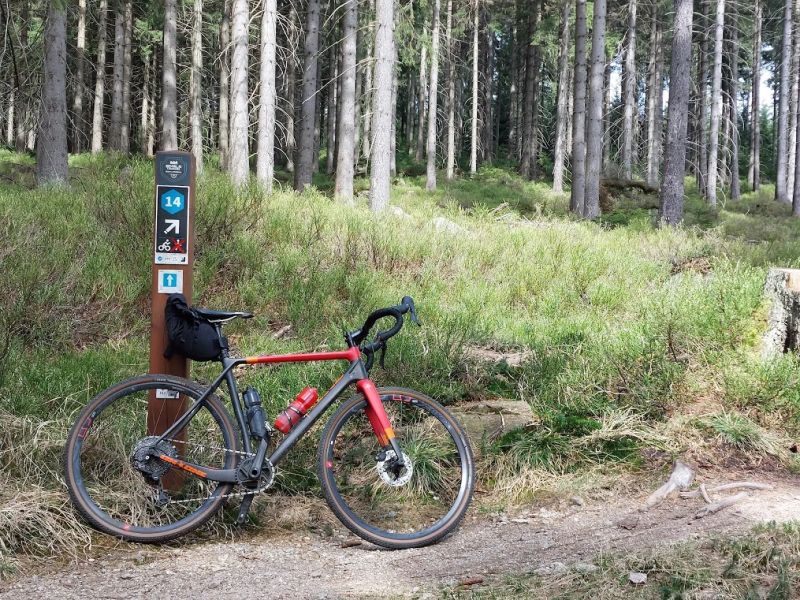 On-One Space Chicken