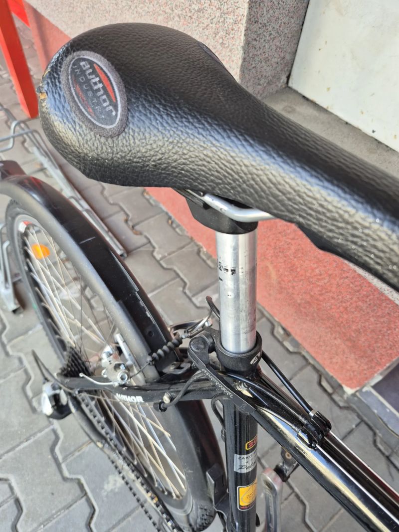 Author Author Reflex SX