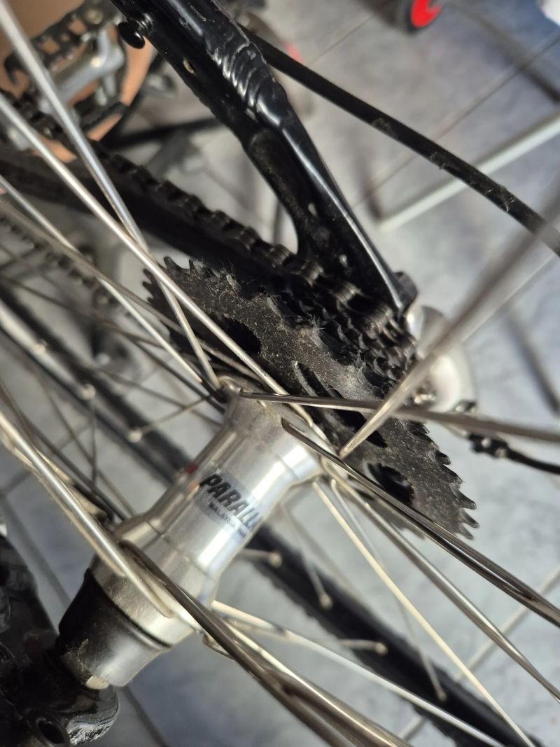 Author Author Reflex SX