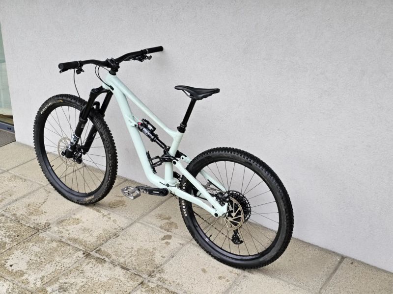 Specialized Status 160